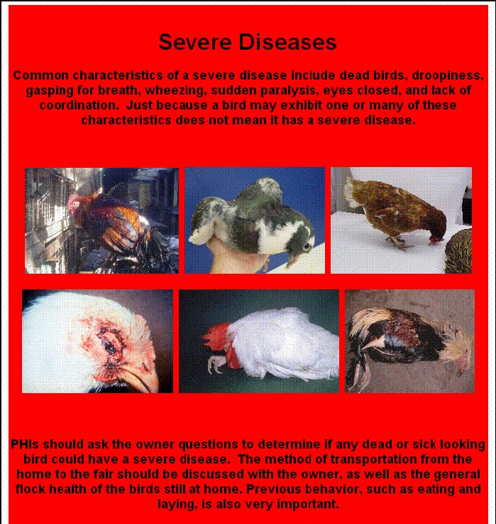 Disease poster